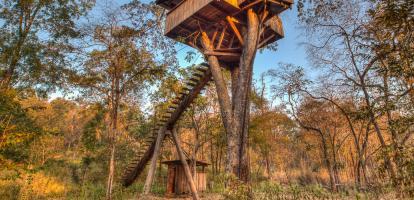 Monkey Pod Treehouse