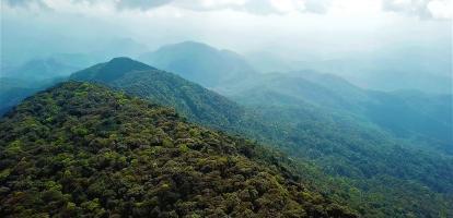 Cloud Forests of Laos
