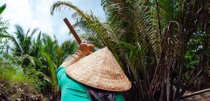 Woman wearing conical straw hat cruises in the Mekong Delta jungle