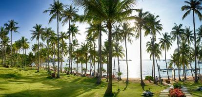 Stunning colors in Phu Quoc beach, with grass and palm trees on foreground