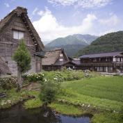 Thatched homes in Shirakawago