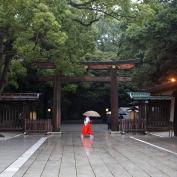 Person walking past Meiji Shrine in the rain