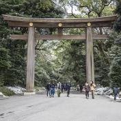 Gateway to Meiji Shrine - David Lovejoy