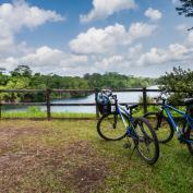 Two bicycles propped up next to fence overlooking lake in Pulau Ubin