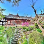 Traditional colorful Hanok House in front of a private garden in Jeonju, Korea