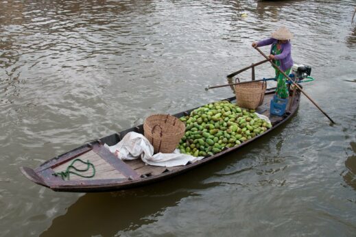 Mekong floating markets