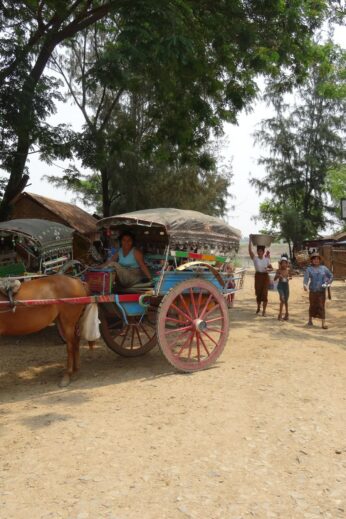 Horse and Carriage - InsideBurma Tours