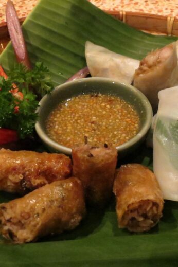 Second starter: fried and fresh spring rolls