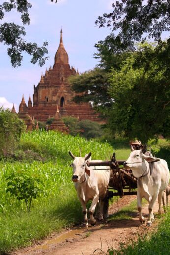 Rural Burma - InsideBurma Tours