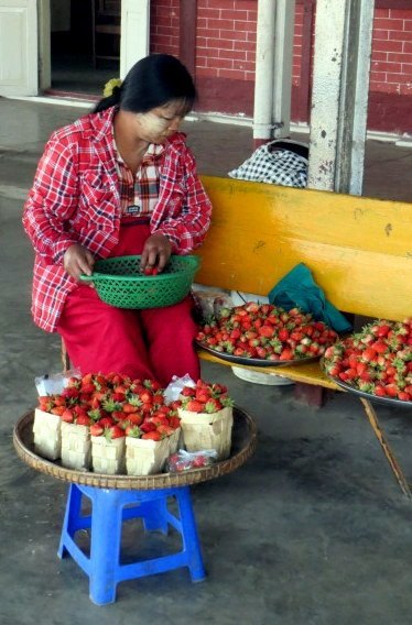 Strawberries for sale - InsideBurma Tours