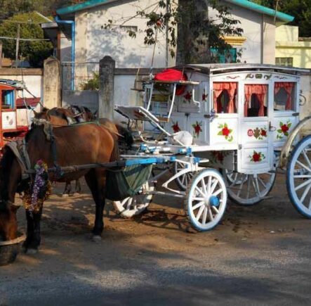 Horse & cart in Pyin Oo Lwin