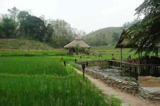 Restaurant in the rice paddy