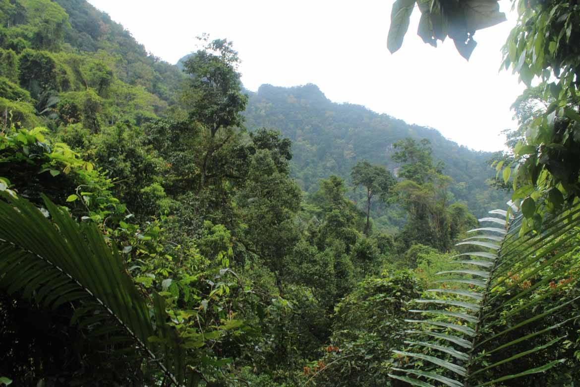 2017: Explore the jungles of Phong Nha National Park