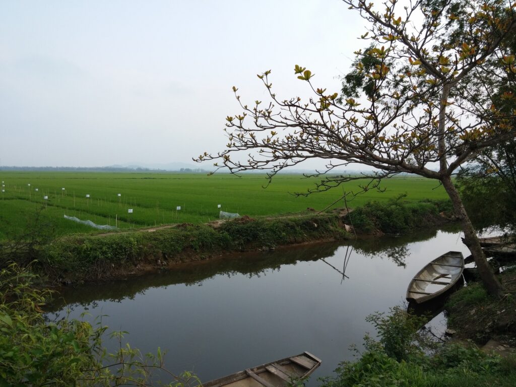 Lakeside landscape in Vietnam