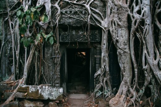 Overgrown temple in Siem Reap