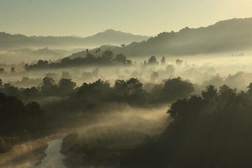 View of early morning mist from hot air balloon