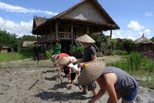 Volunteers busy working at The Living Land - Luang Prabang, Laos