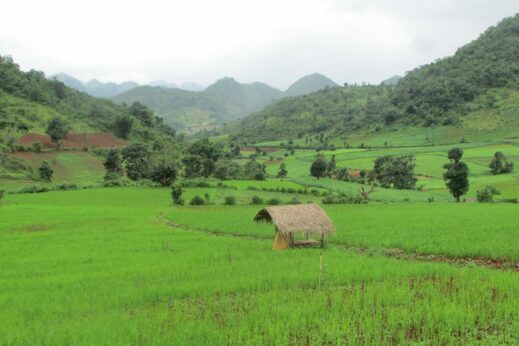 Lush green scenery when hiking in Burma