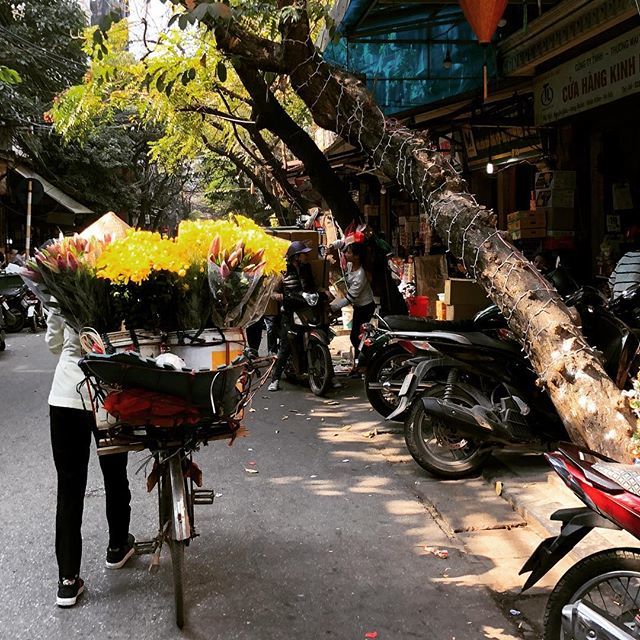 Hanoi in Vietnam, lady with flowers on bicycle