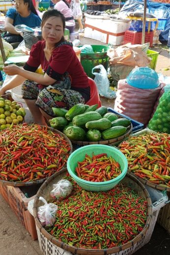 Food in Laos, market