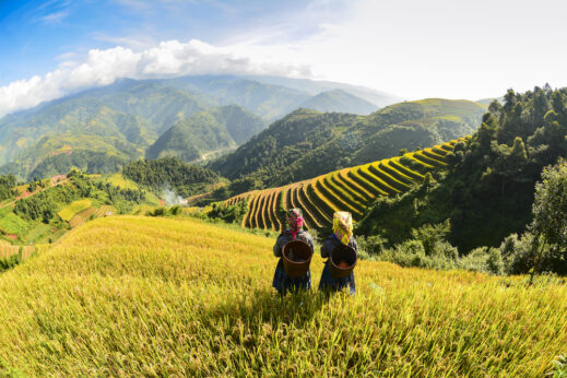 Ha Giang rice terraces, Vietnam
