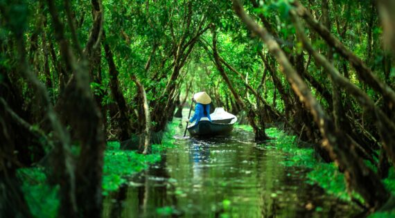 tra su forest vietnam boat on water