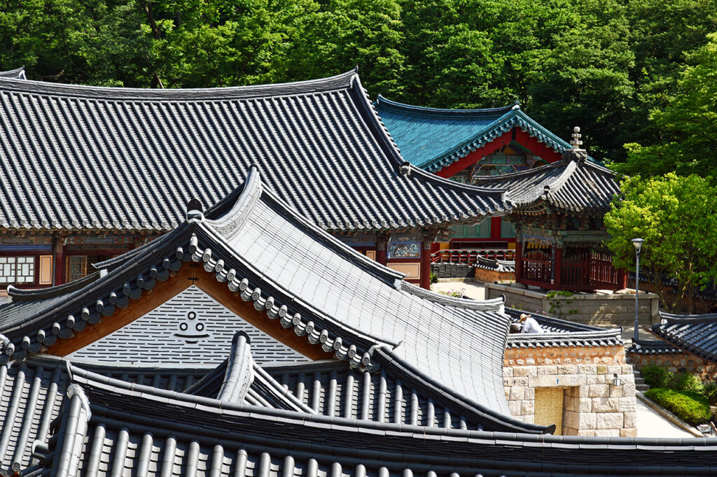 Traditional Korean roofs surrounded by green forest in a temple complex in South Korea