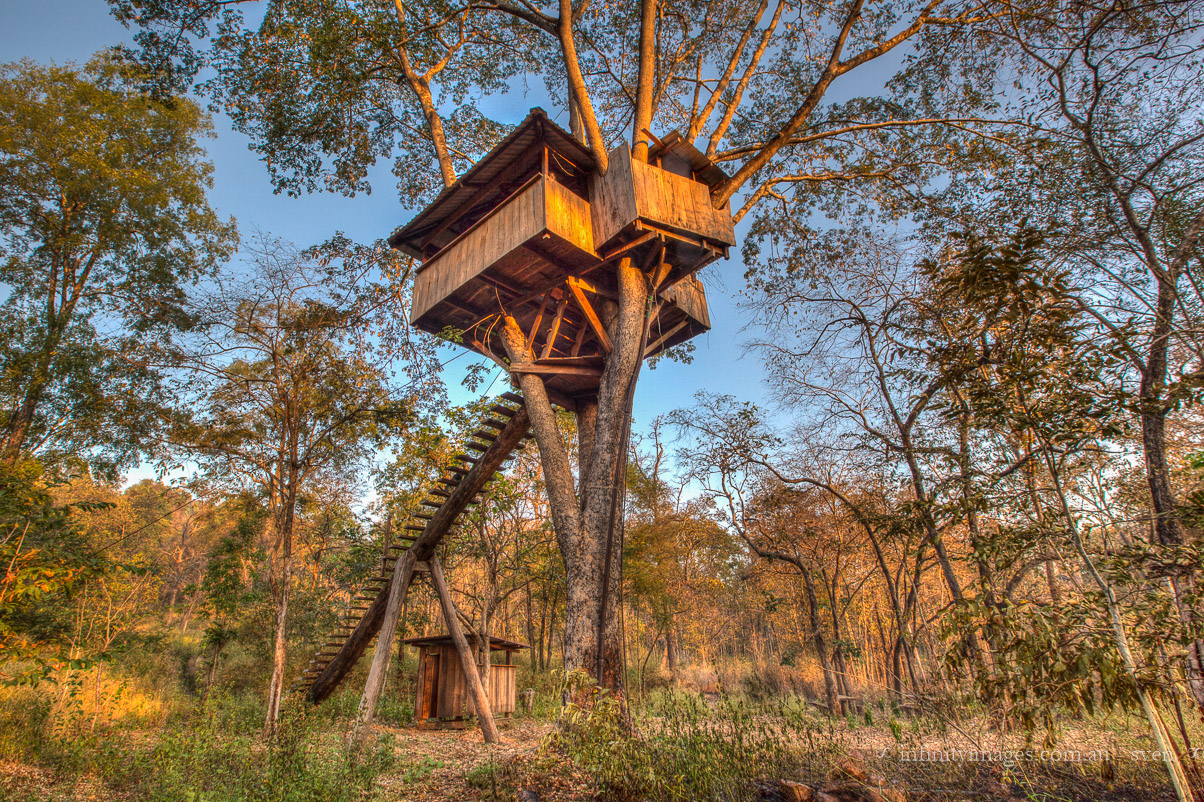 790-Cambodia17-Webres_BetreedAdventures.jpg Monkey Pod Treehouse