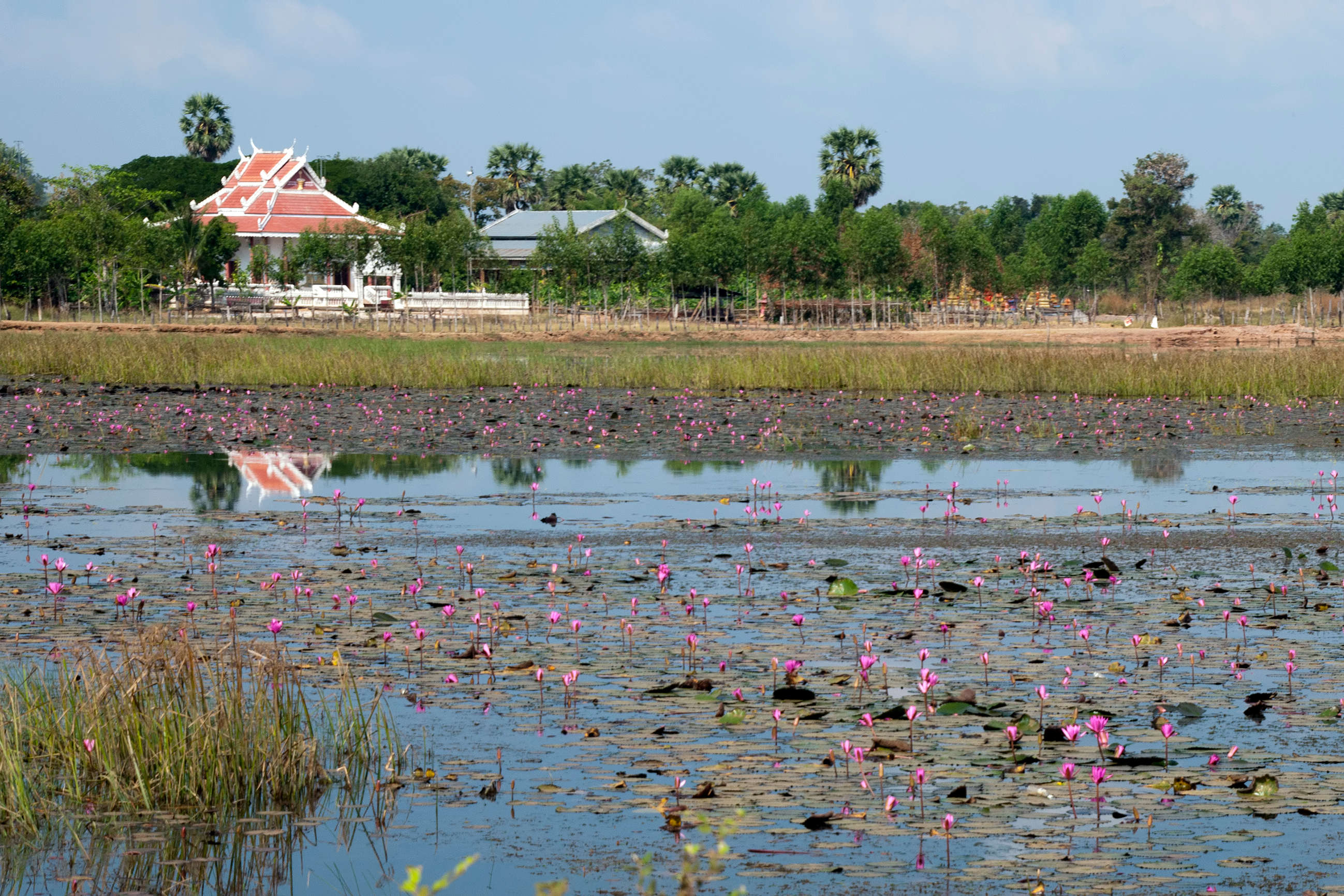 BanteayChhmar_iStock-926171660_©Karin de Mamiel .jpg Banteay Chhmar countryside