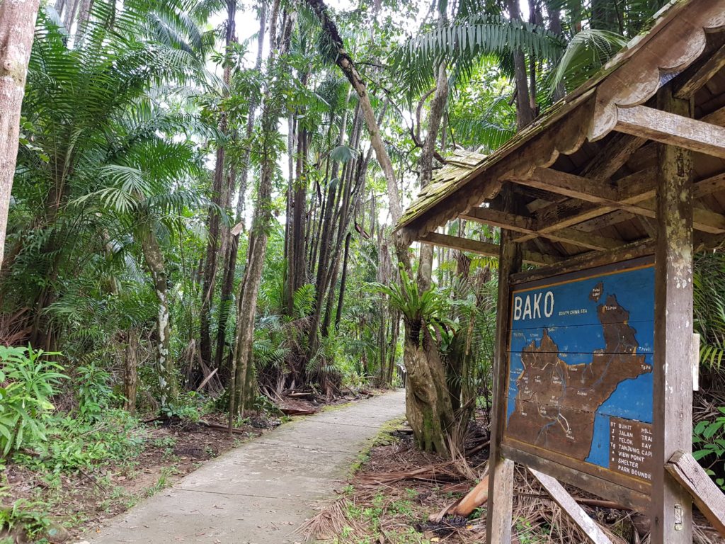Hiking Bako National Park6 - Exo Travel.jpg Hiking trail in Bako National Park