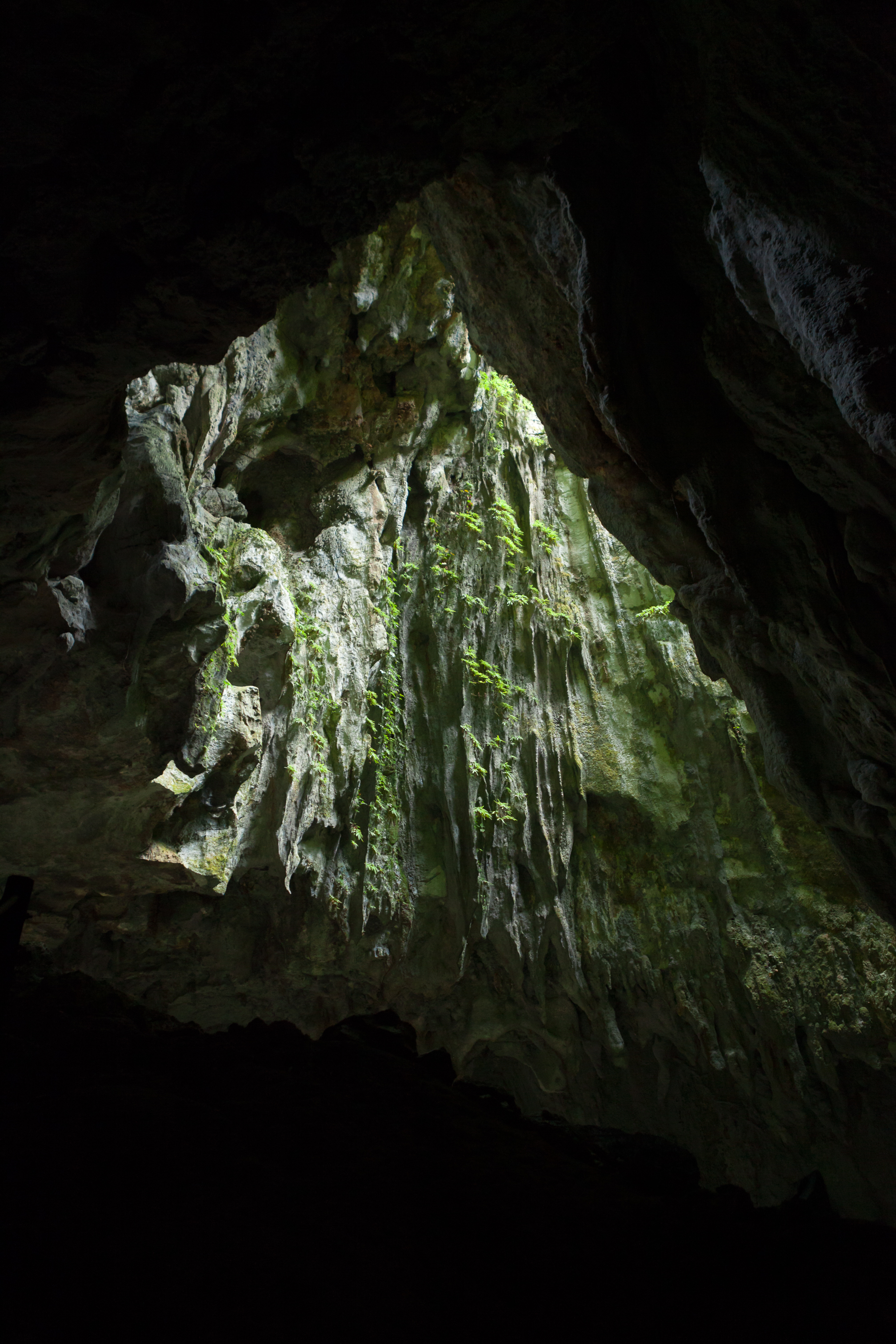 Mulu_iStock-1171899133_Juhku.jpg Mulu caves