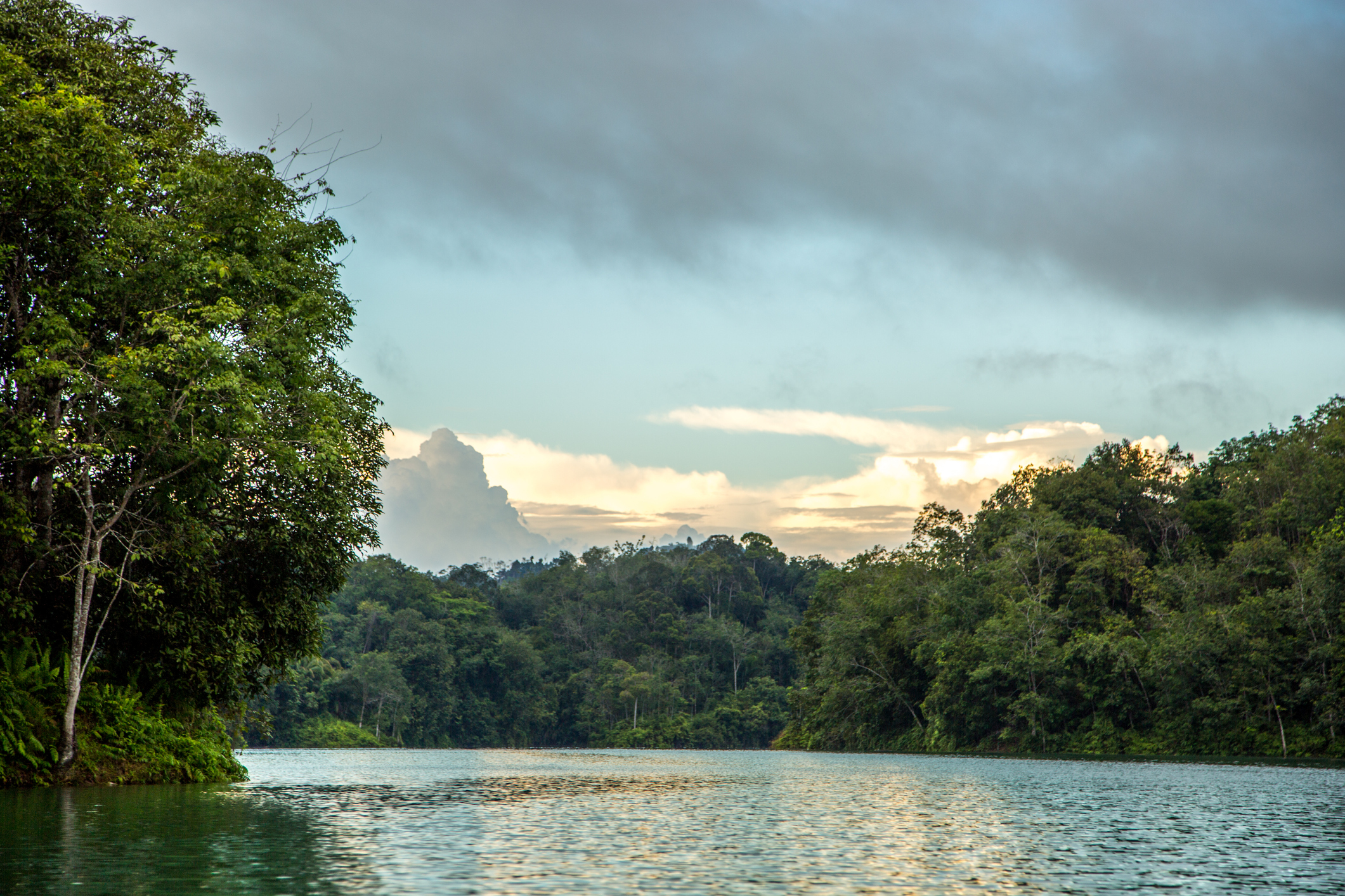 PLACE PAGE Batang Ai_iStock-1145373697©Goddard_Photography .jpg Lake at Batang Ai