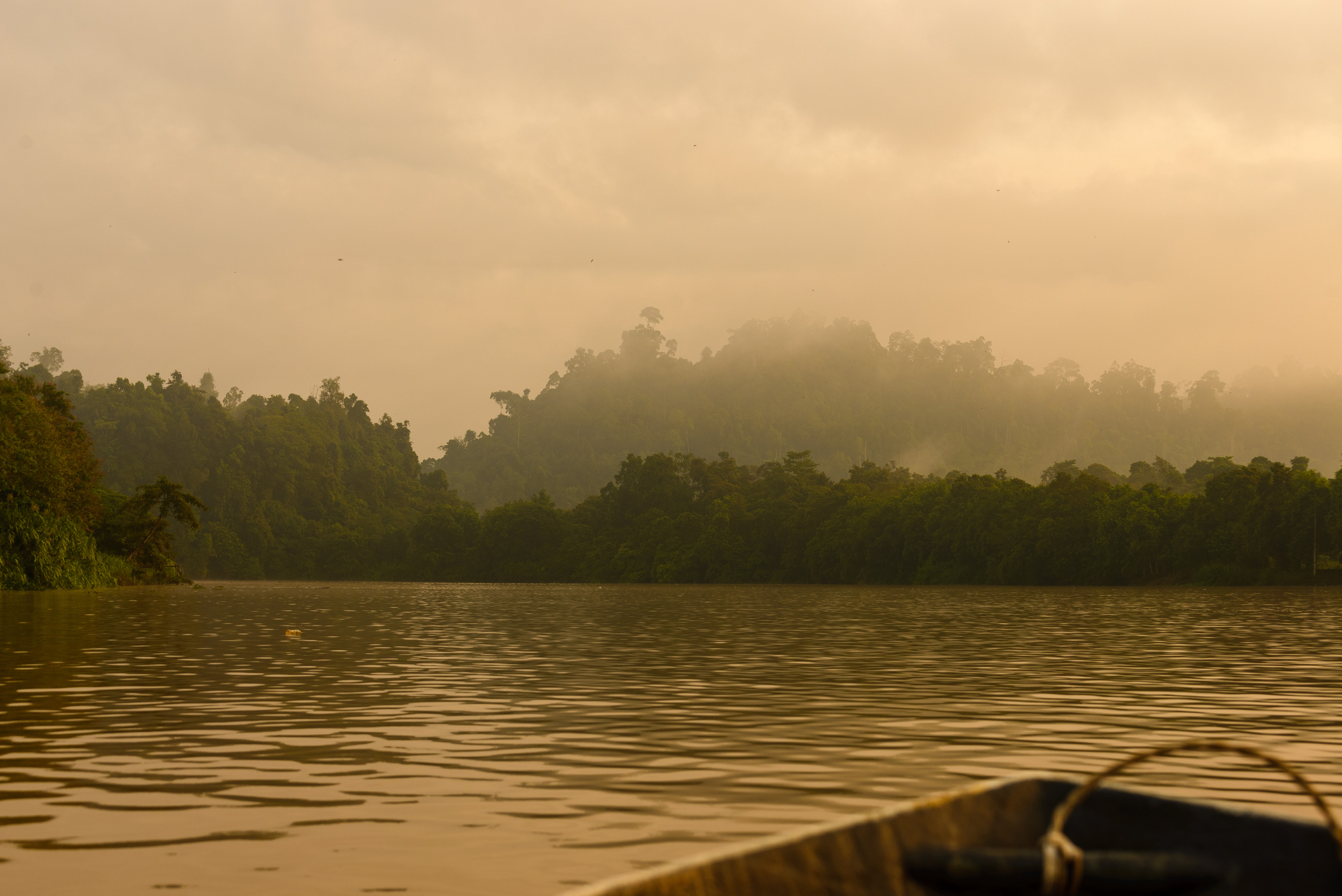 PLACE PAGE kinabatangan river_iStock-1169619295©mypicture.jpg Boat on Kinabatangan River