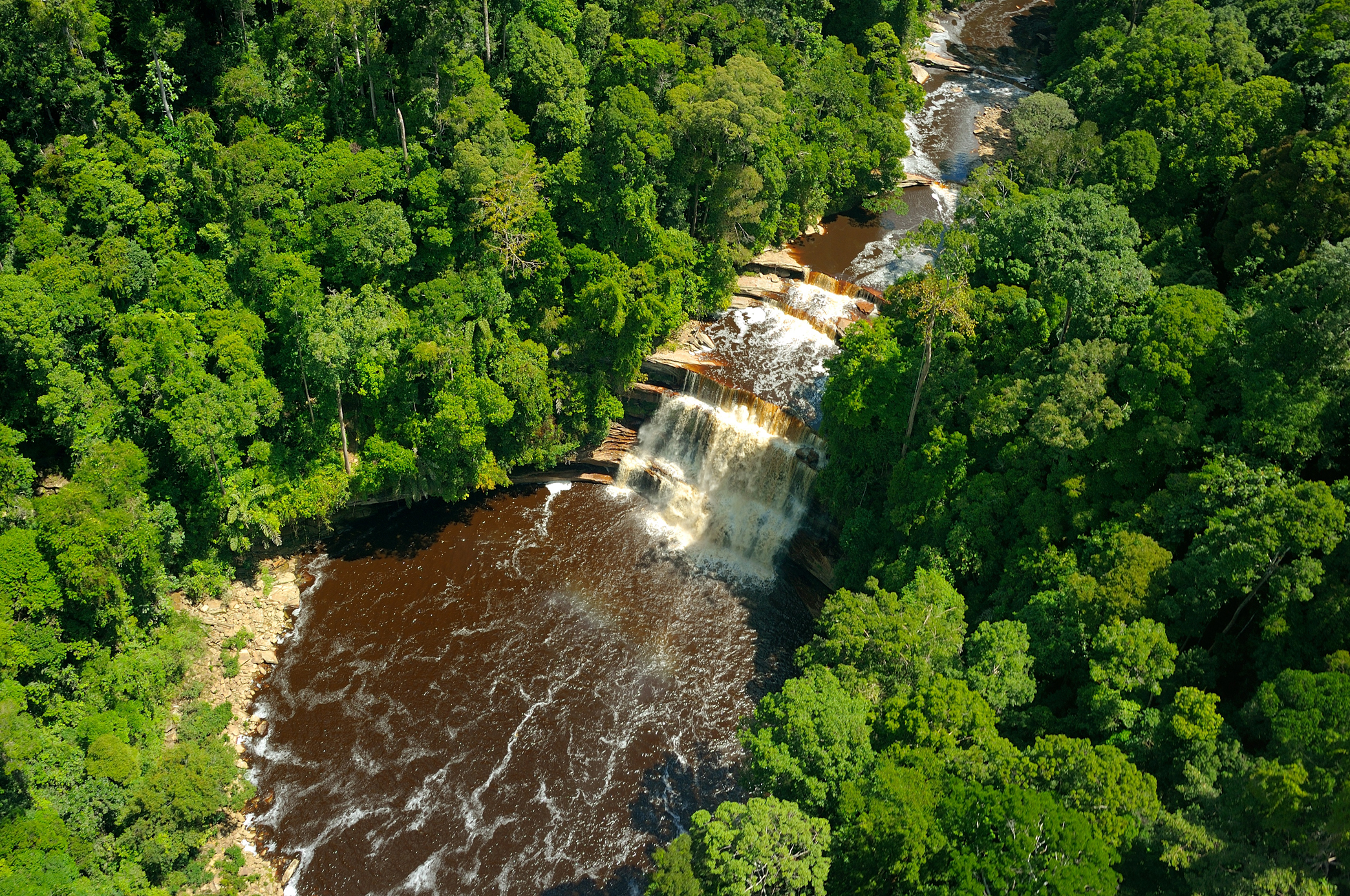 PLACE-PAGE-Borneo---Maliau-Basin---Trekking2---Exo-Travel_resize.jpg Maliau Basin from above