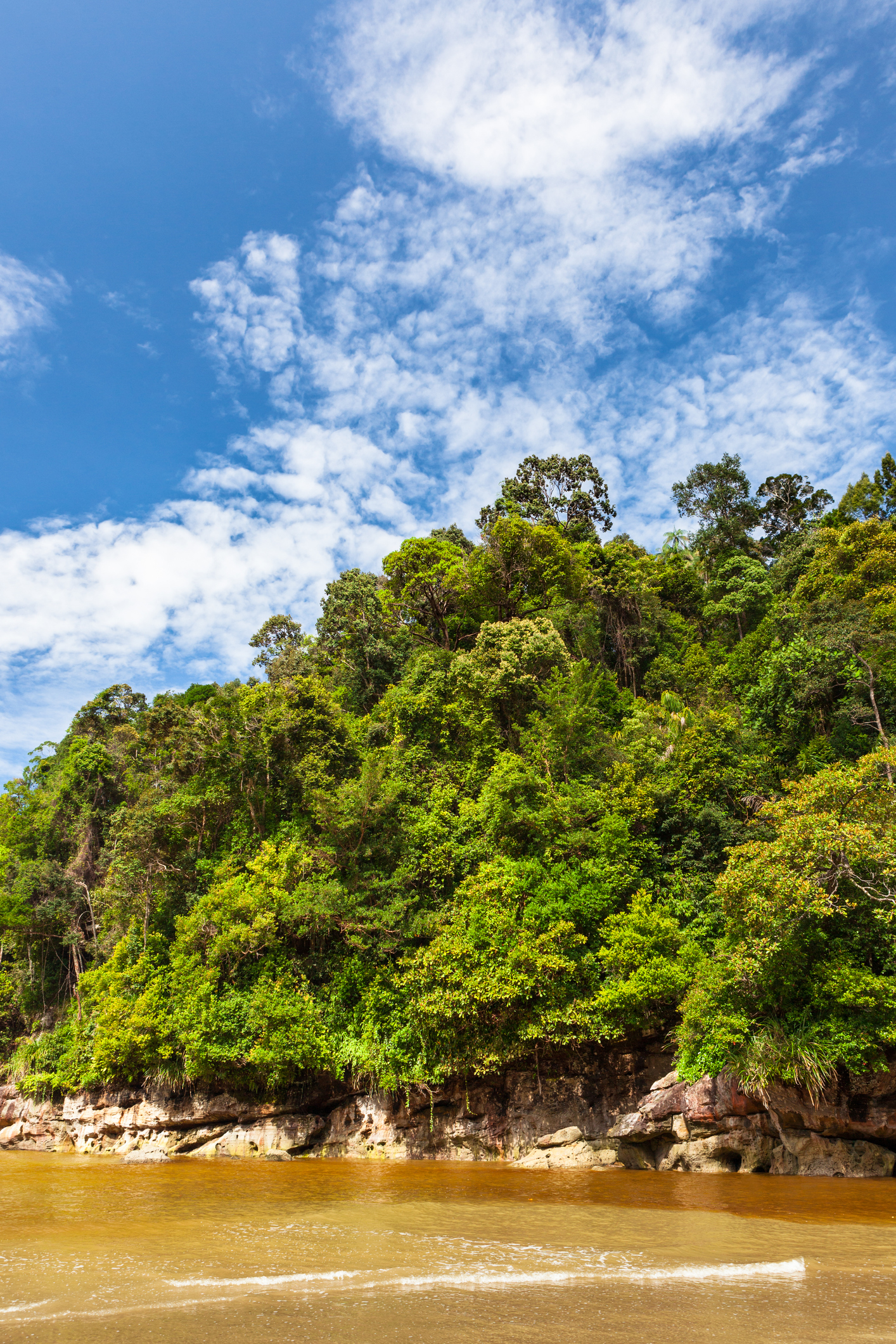 Bako National Park_iStock-502194189_Juhku.jpg Bako National Park