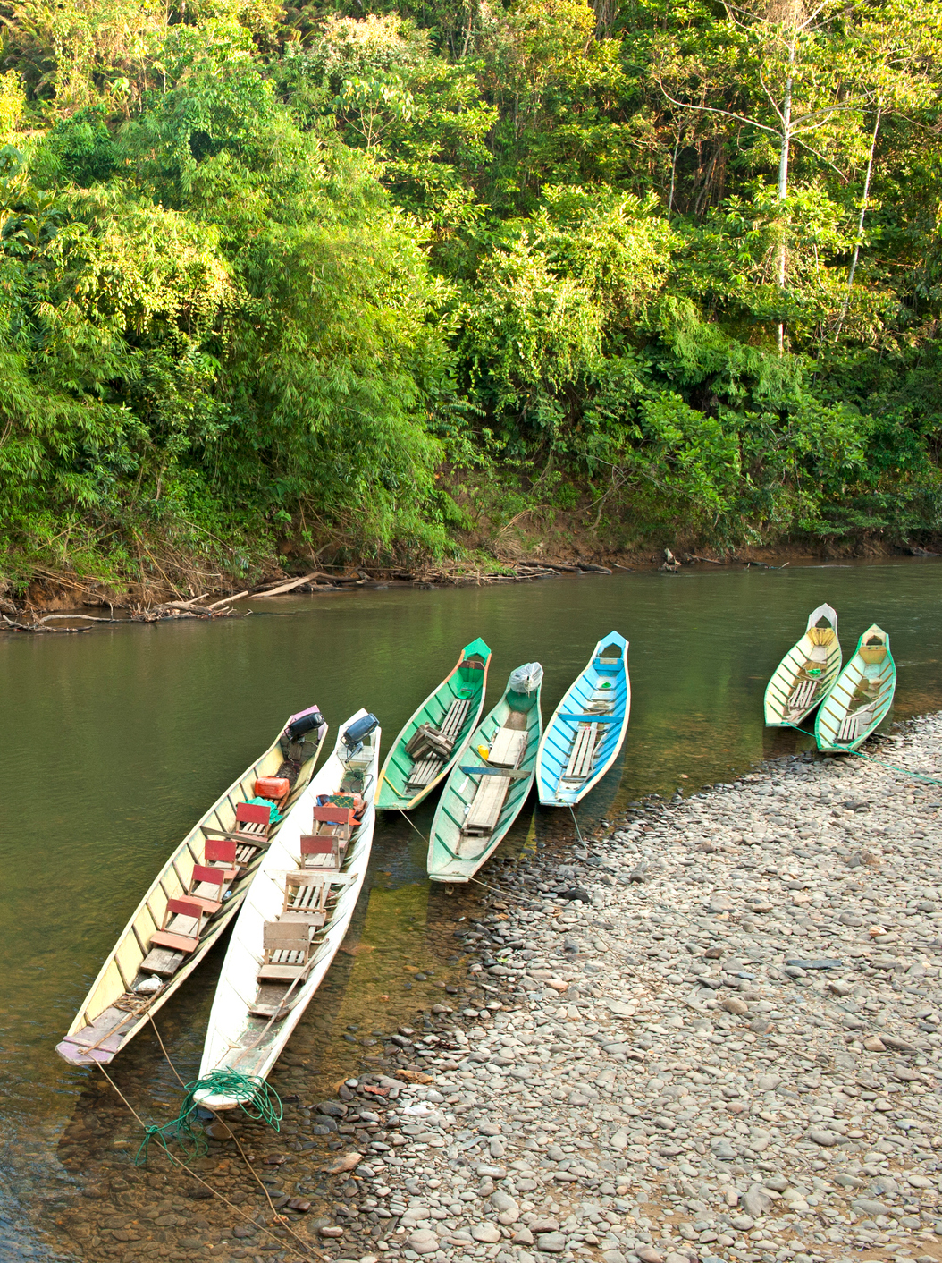 Batang Ai_iStock-1130615347_resize_RAVINDRAN JOHN SMITH.jpg Boats on river in Batang Ai
