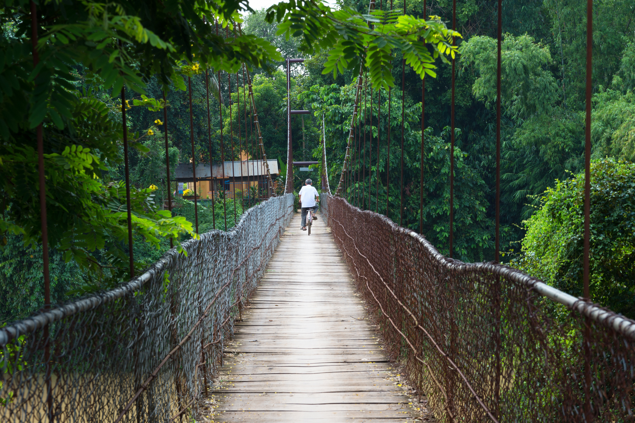 BattambangCycling_iStock-1227460530_RenatoK.jpg Cycling in the countryside around Battambang