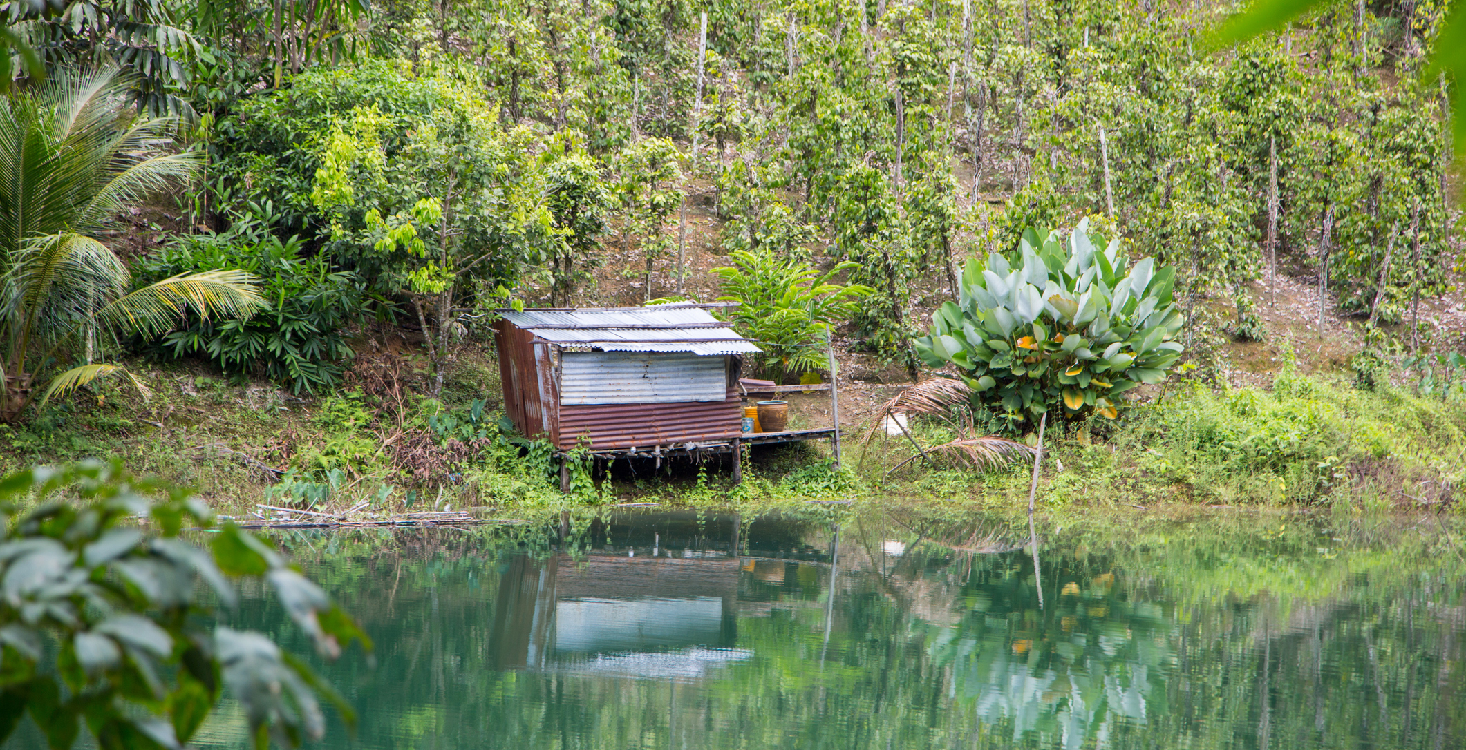 Borneo Uncovered HERO_BatangAi_iStock-1145469222_resize_Goddard_Photography.jpg Batang Ai lake
