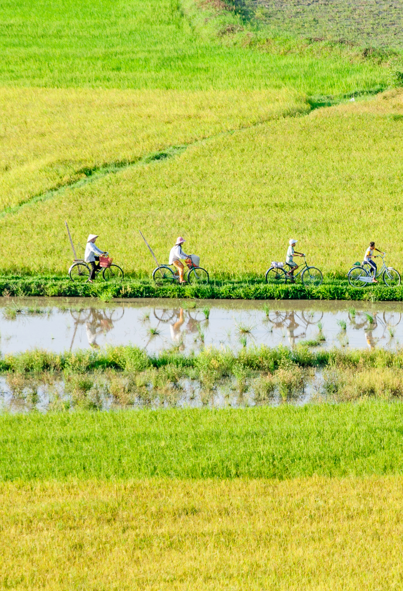 KySon_iStock-183717342_hoangtran7ice .jpg Cycling in Ky Son countryside
