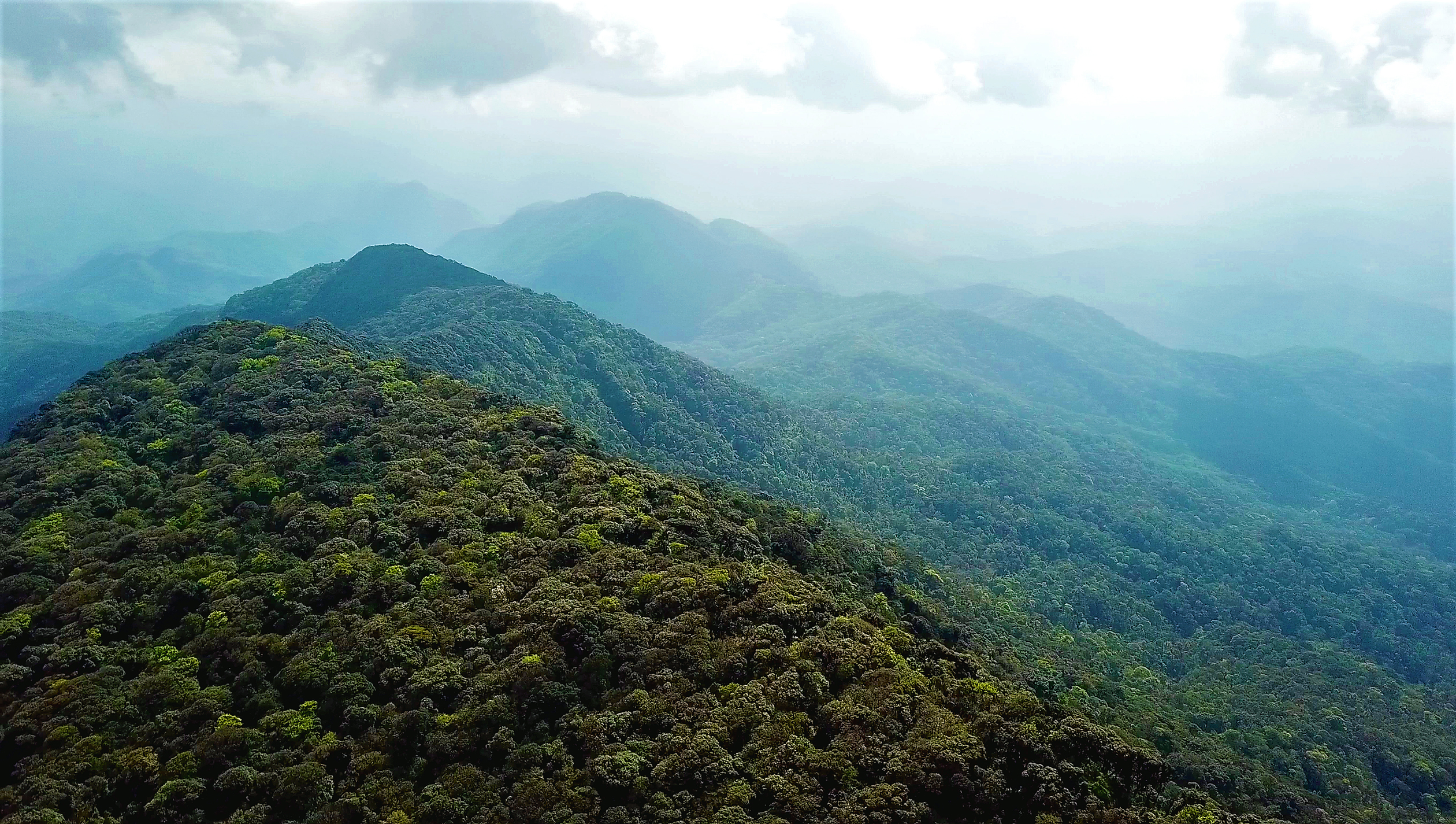 Cloud Forests of Laos
