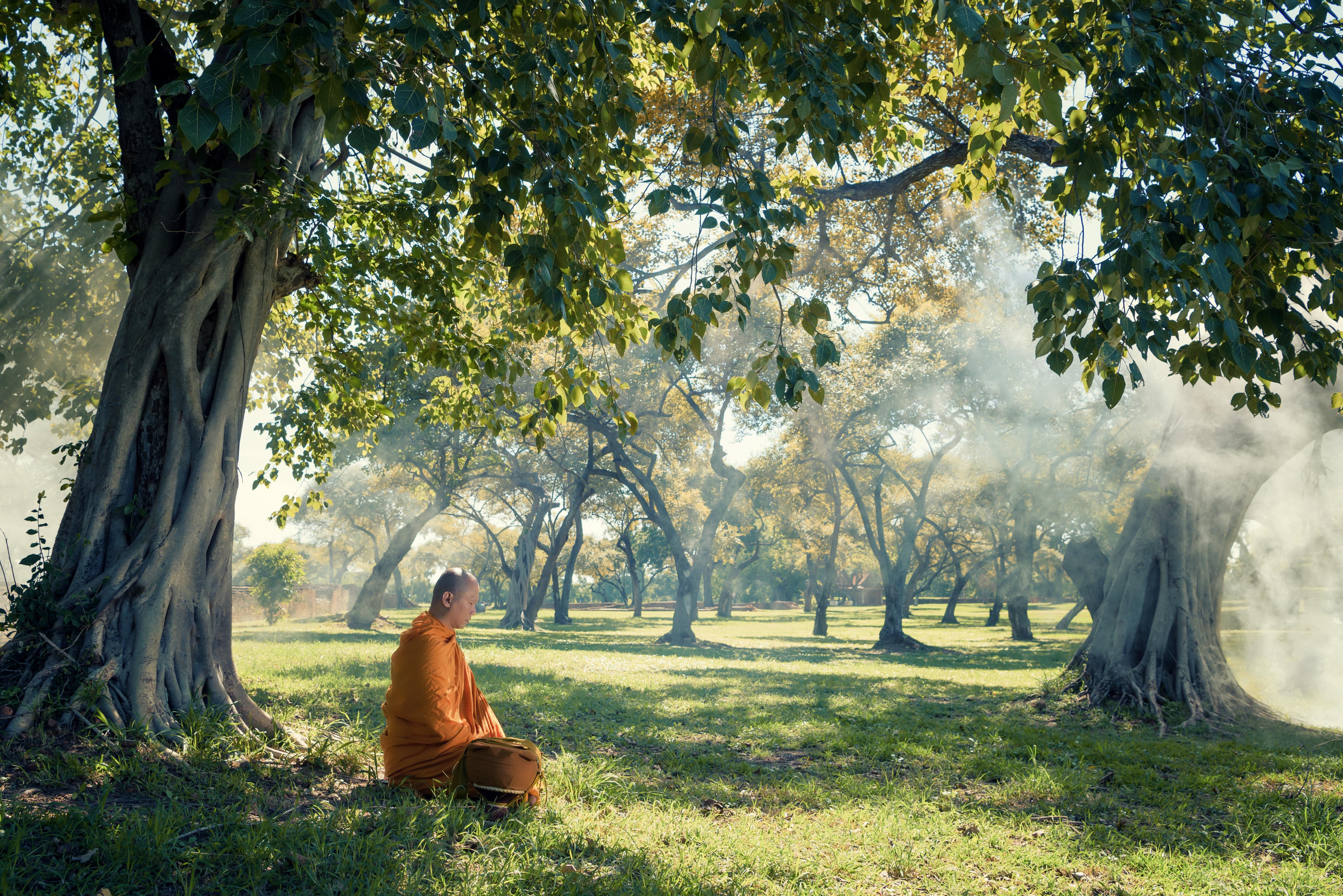 SP HERO - Shutterstock small.jpg Monk meditating underneath tree in garden in Luang Prabang