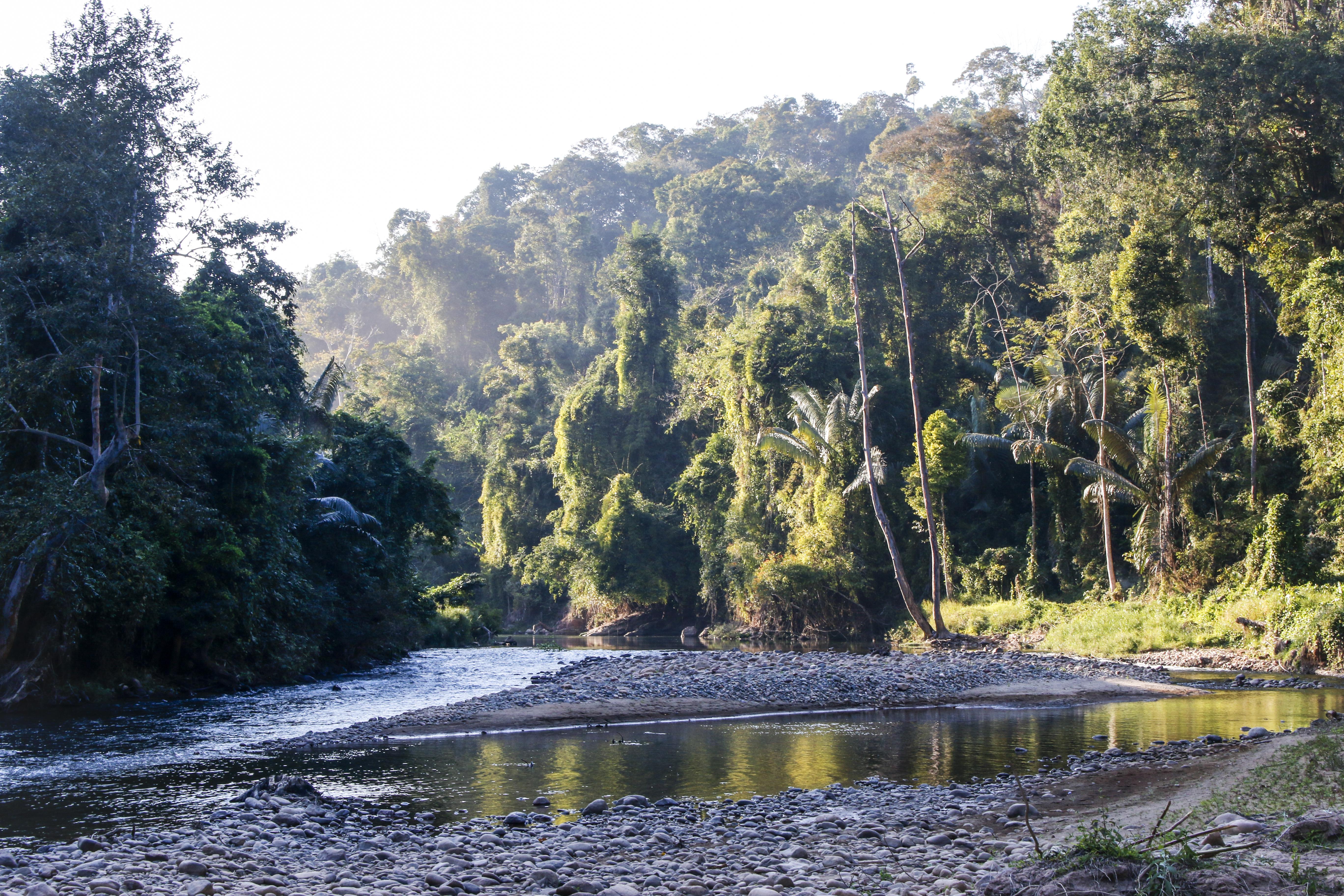 NEPLNPA-Laos-Houaphan (wecompress.com).jpg Nam Et Phou Louey landscape