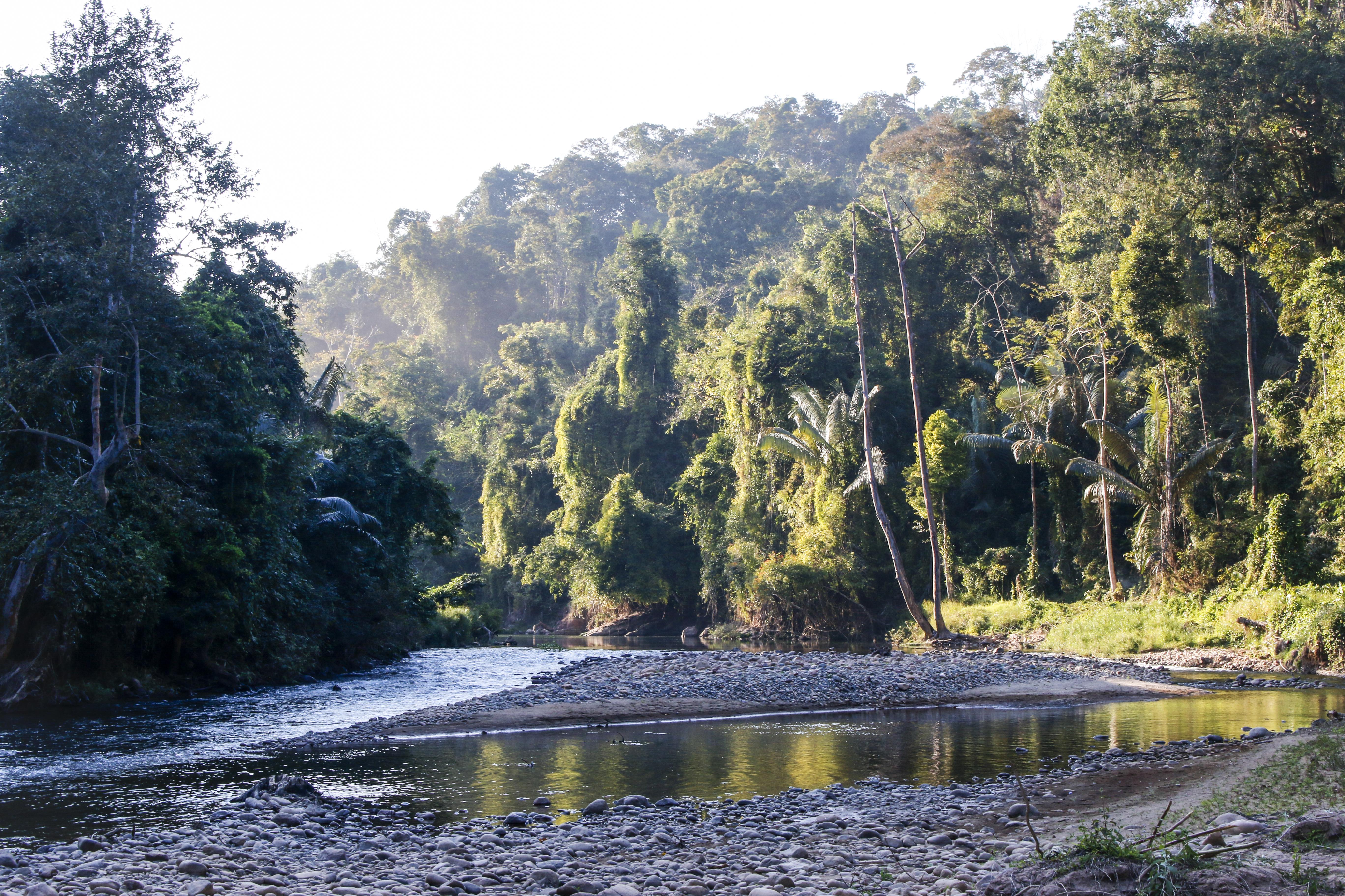 Nam Et Phou Louey landscape