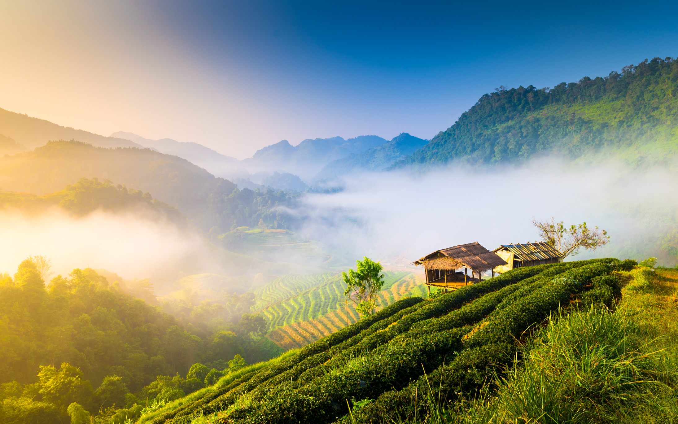 North Thailand trekking