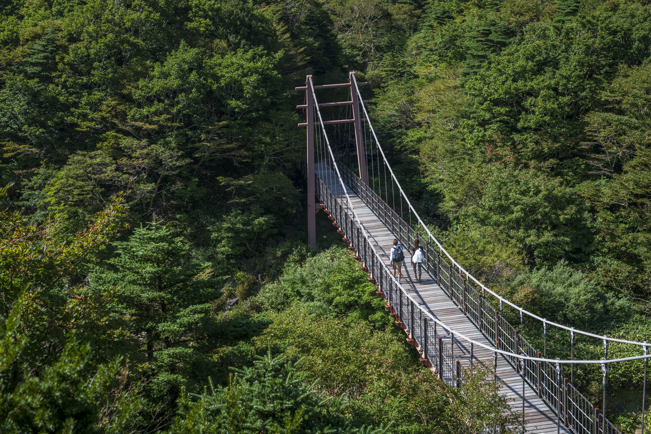 Gwaneumsa-Trail-in-Hallasan-National-Park-Jeju-Island.jpg Couple walking over suspension bridge above trees