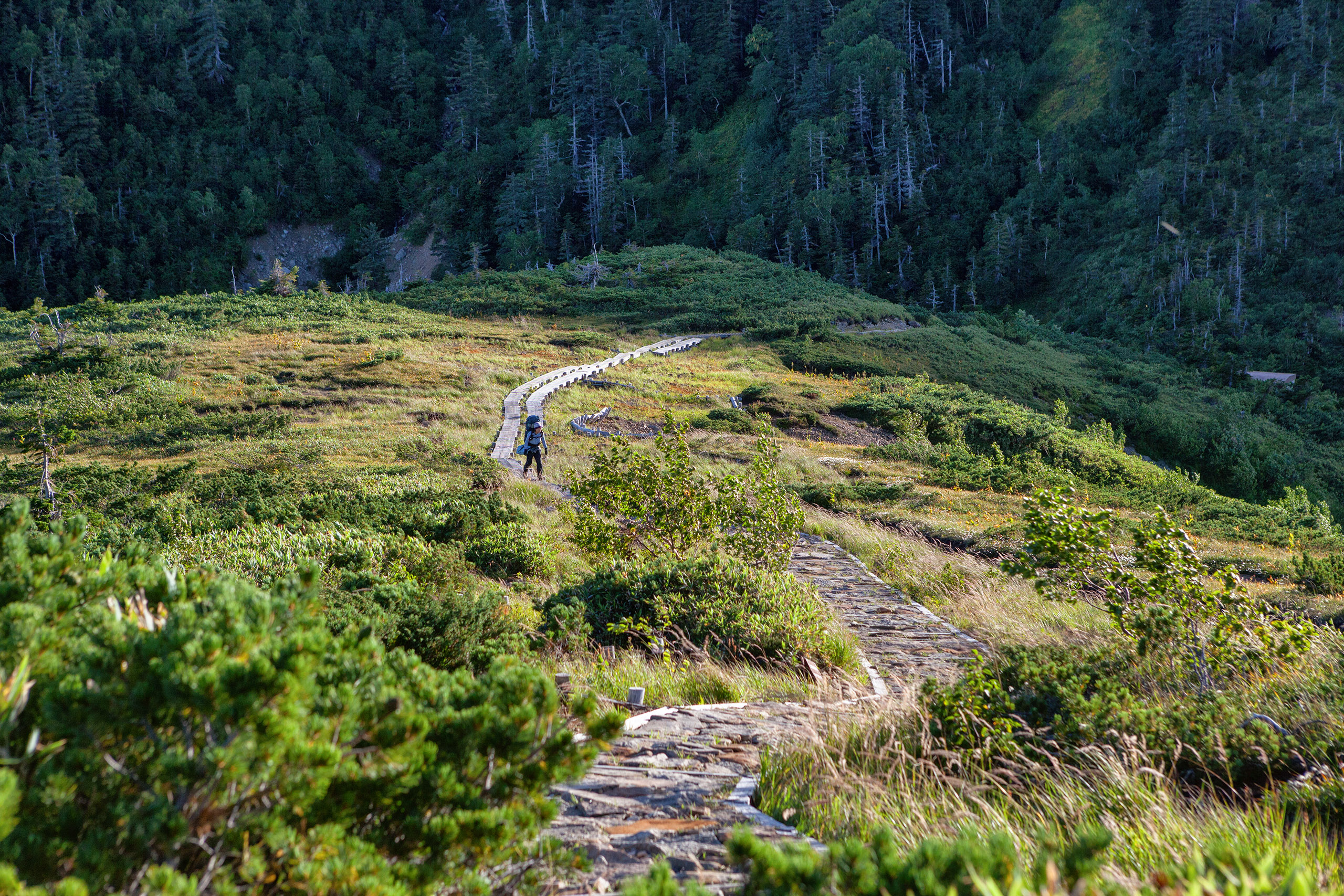 Hiking-trails-in-the-japanese-alps.jpg Hiker on trails in Kamikochi National Park