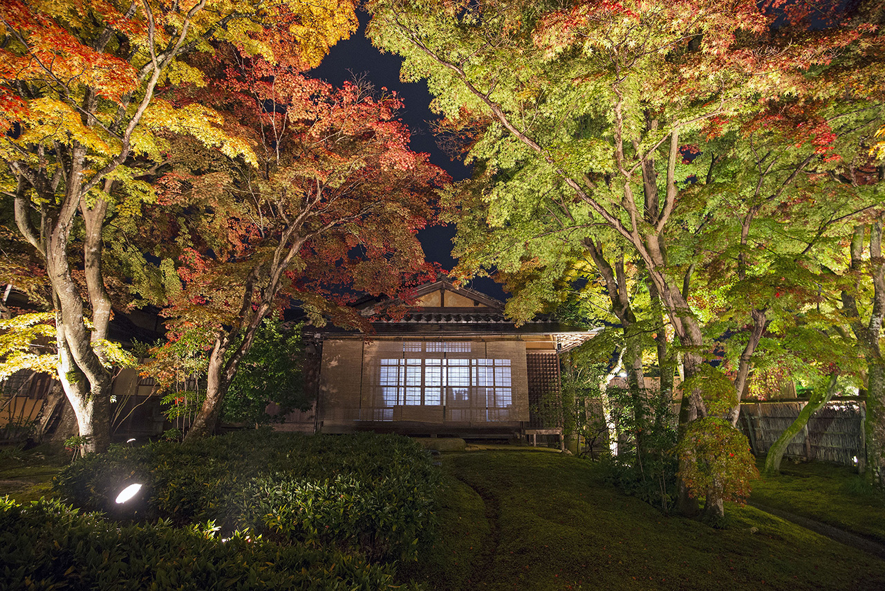 Hogonin3_s.jpg Wooden temple in wood illuminated at night