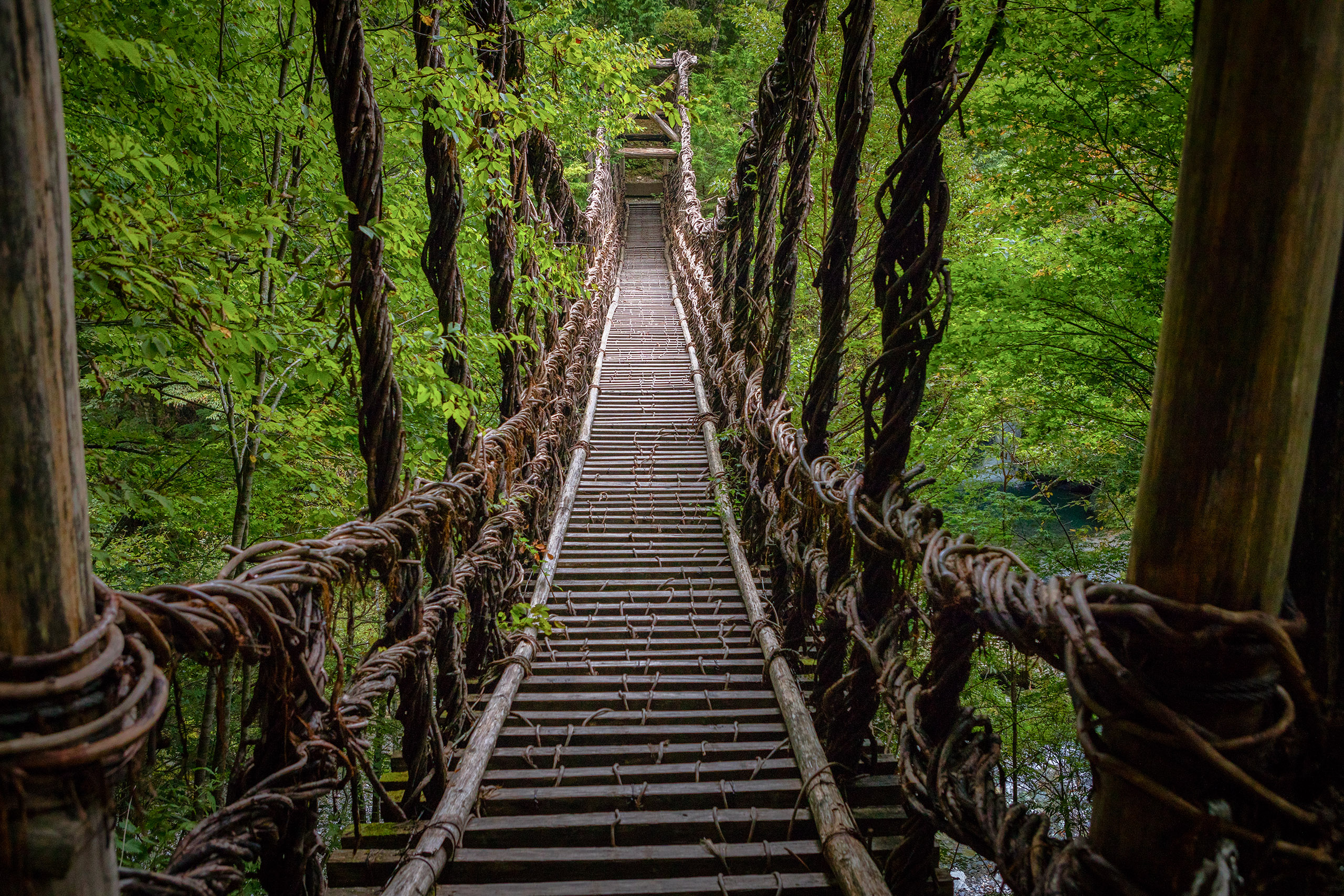 Iya-valley-uncropped.jpg Vine bridge over Iya Valley in Shikoku