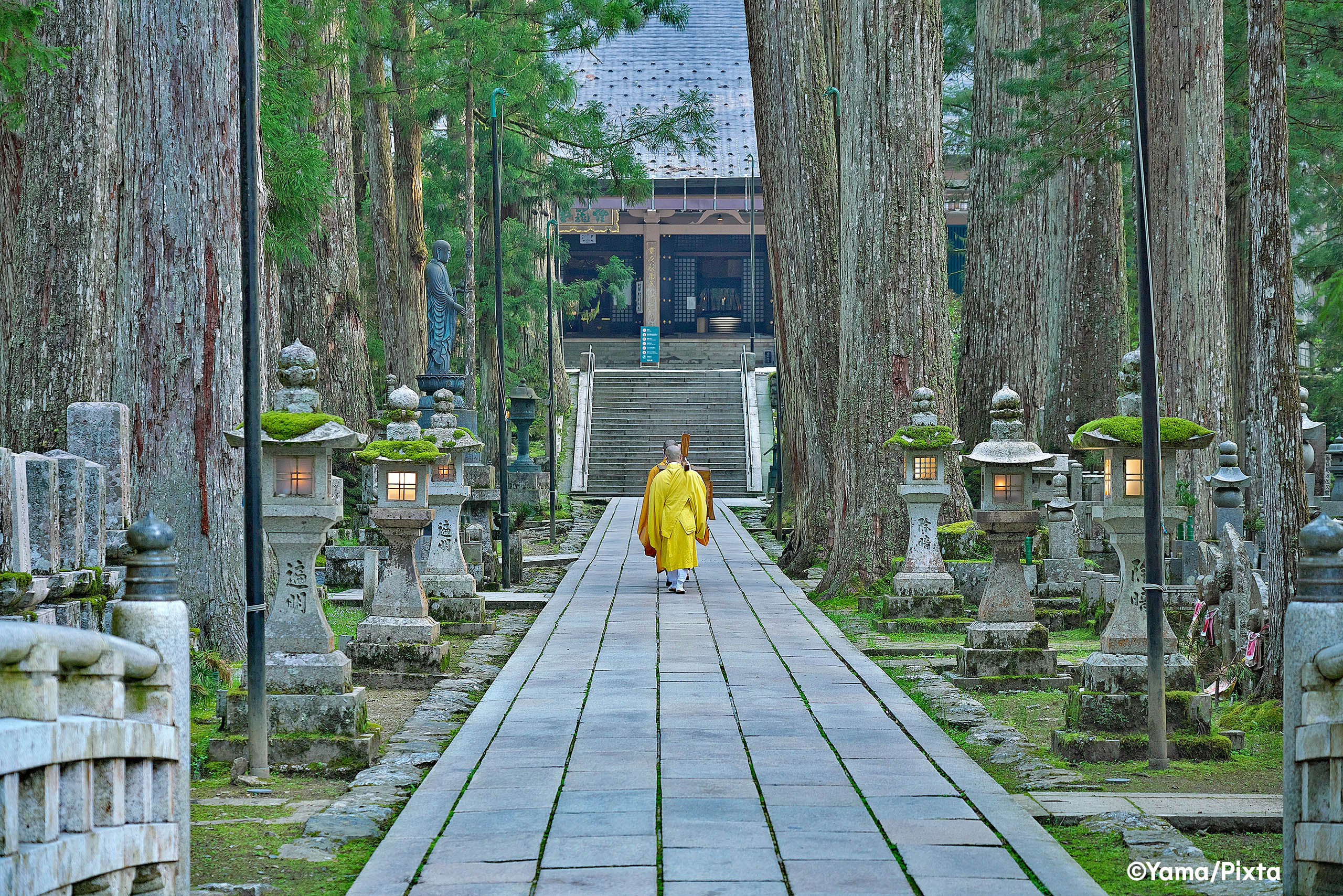 Place Hero - Monks in Koyasan - Yama - Pixta - needs crediting.jpg Monk in yellow clothes walking along pathway in Koya