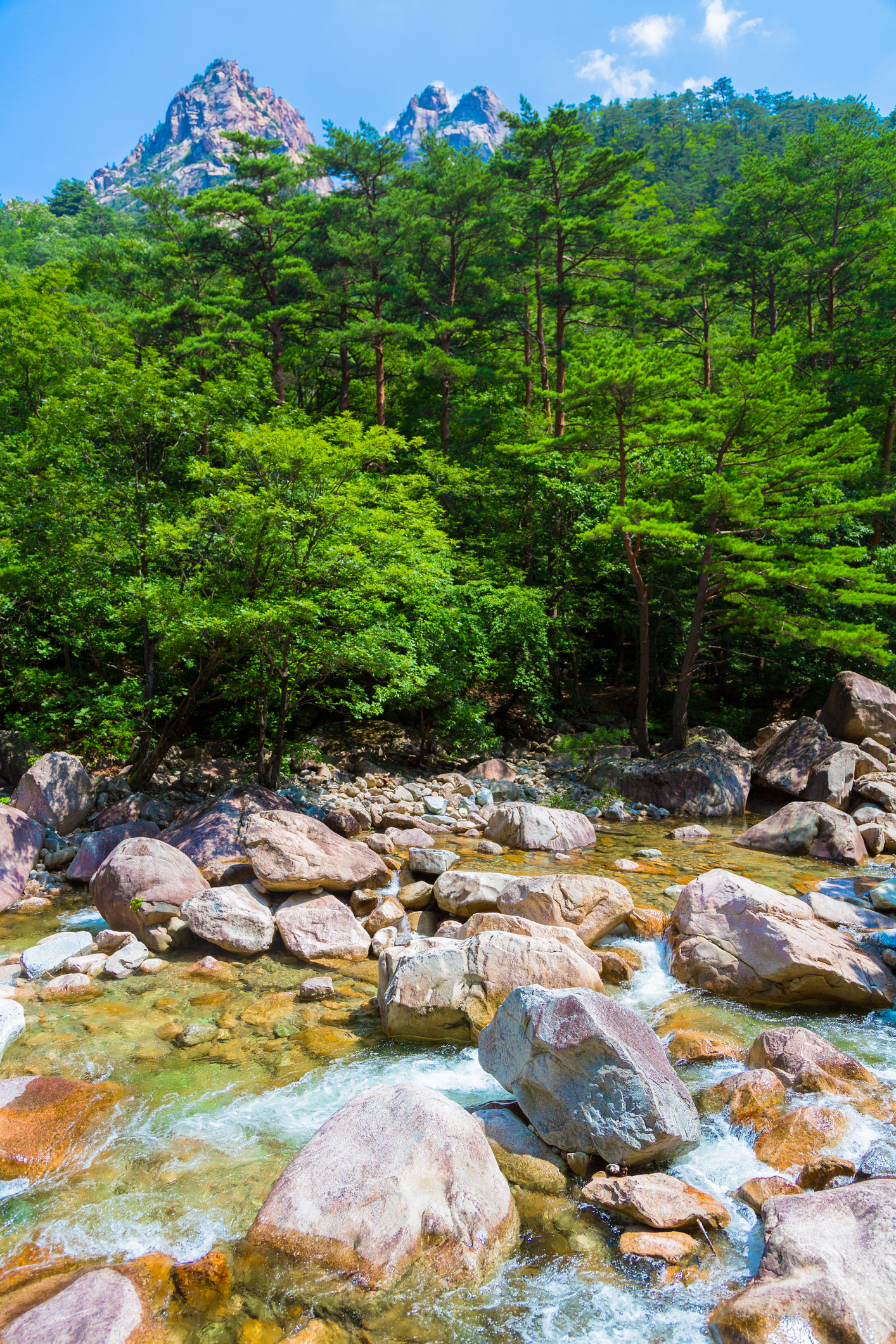 Seoraksan-National-Park-Portrait.jpg Fast flowing stream and lush green trees in Seoraksan National Park